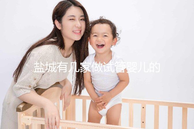 鹽城有幾家做試管嬰兒的醫院? 還有成功率、費用都在這