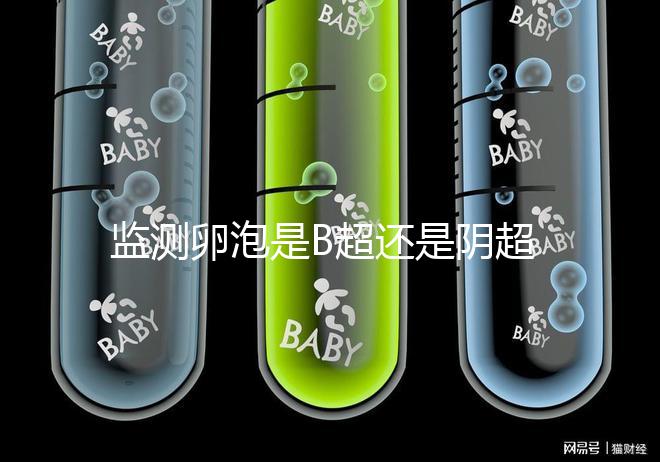 監測卵泡是B超還是陰超？陰道超聲和腹部超聲的區別不止探頭