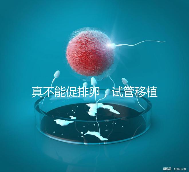 真不能促排卵，試管移植前吃優思明作用與功效竟是這