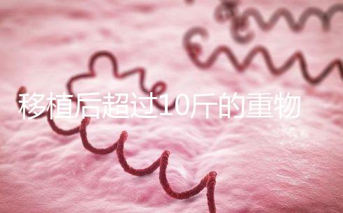 移植后超過10斤的重物別去搬，當(dāng)心出現(xiàn)腹痛和陰道出血