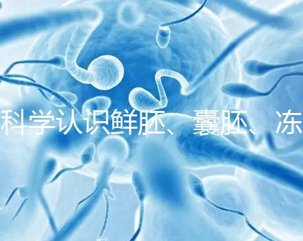 科學認識鮮胚、囊胚、凍胚的區別，同條件成功率對比