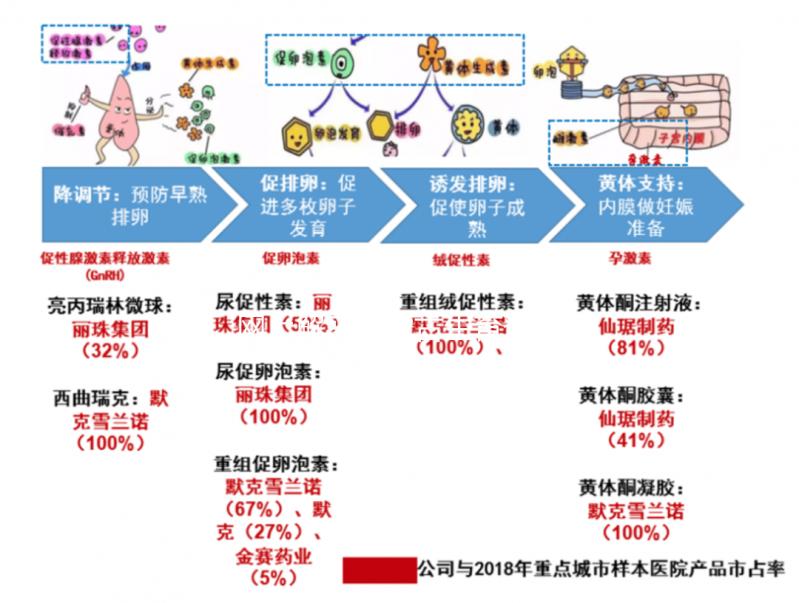 網上解密內蒙古生育登記要不要辦理，想造包頭怎么辦？