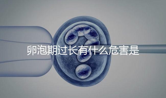 卵泡期過(guò)長(zhǎng)有什么危害是否會(huì)影響懷孕