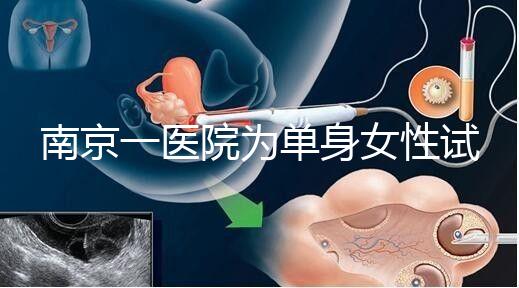 南京一醫(yī)院為單身女性試管助孕引爭議背后:當把生育需求納入法規(guī)框架