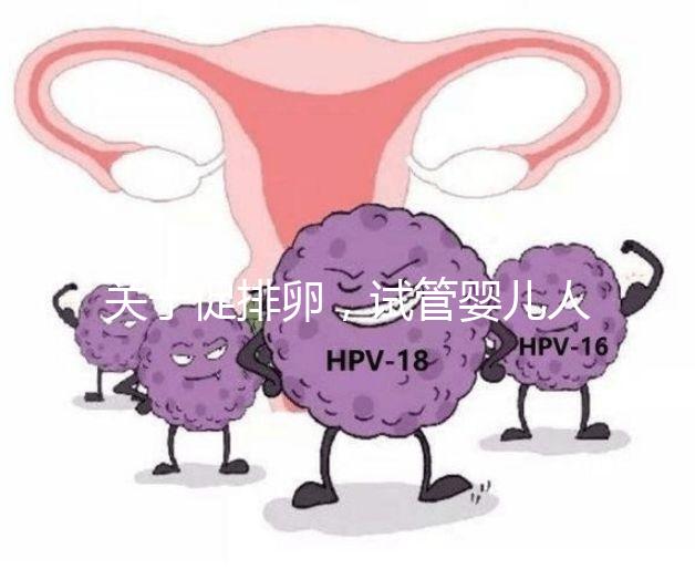 關(guān)于促排卵,試管嬰兒人群應(yīng)該知道的 6 個(gè)真相