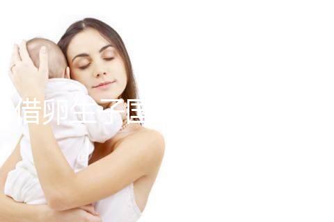 借卵生子國內最新規定和措施匯總，關于撫養權統統告訴你