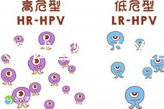 做供精試管嬰兒的準(zhǔn)備（供精試管嬰兒大概需要多少錢）