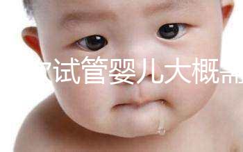 做一次試管嬰兒大概需要花多...@師曉東兒童血液的動態