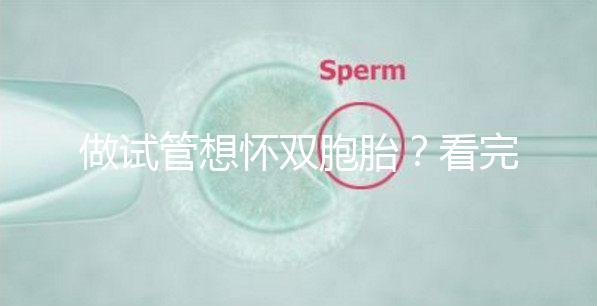 做試管想懷雙胞胎？看完這篇文章再決定