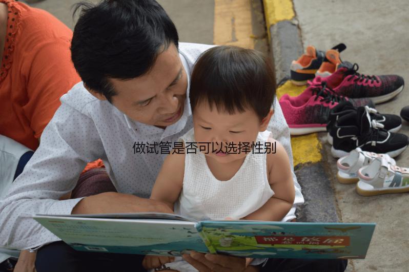做試管是否可以選擇性別和雙胞胎（做試管是否可以選擇性別和雙胞胎呢）