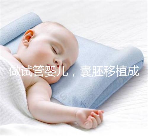 做試管嬰兒，囊胚移植成功懷孕的幾率更高？