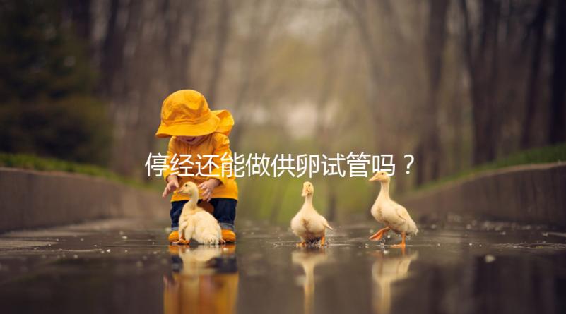 停經(jīng)還能做供卵試管嗎?達(dá)到這4個(gè)條件成功率翻一番