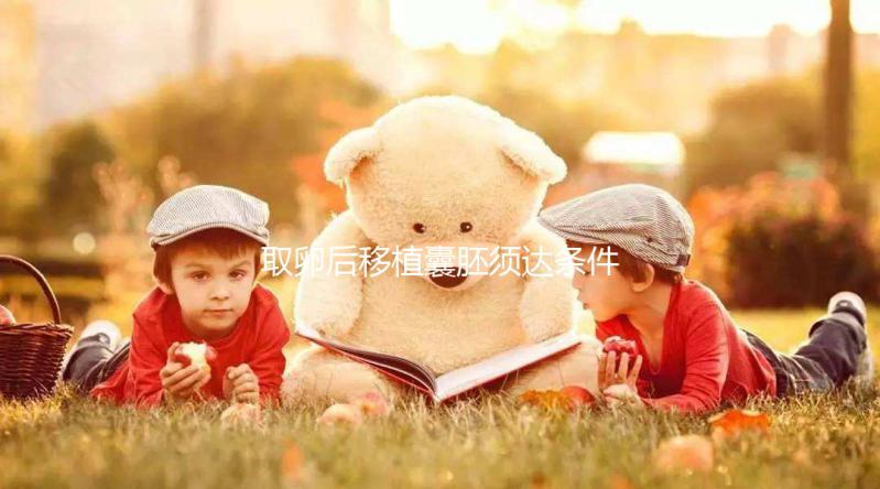 取卵后移植囊胚須達條件！至少要達到這3個標準