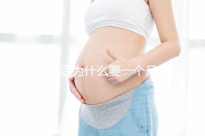 取卵后為什么要一個(gè)月后移植？深度解析與科學(xué)依據(jù)