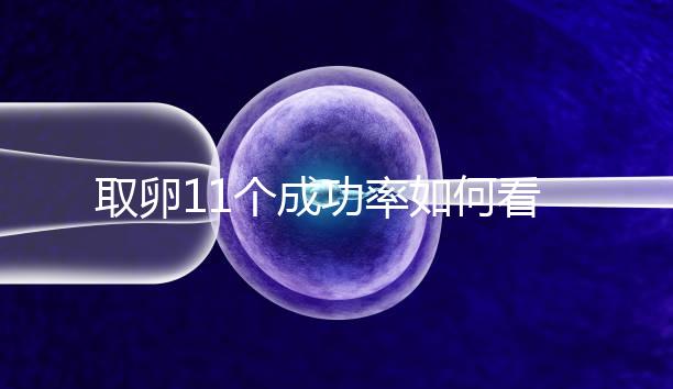 取卵11個成功率如何看胚胎配成數，只受精兩個要找找原因
