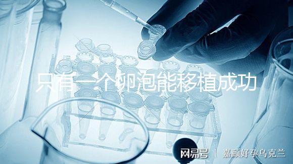 只有一個(gè)卵泡能移植成功嗎？別擔(dān)心!過來人告訴你好孕并不難