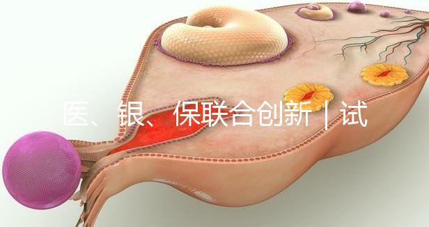 醫(yī)、銀、保聯(lián)合創(chuàng)新|試管嬰兒保險套餐及銀行專項(xiàng)分期助孕在我院率先落地!