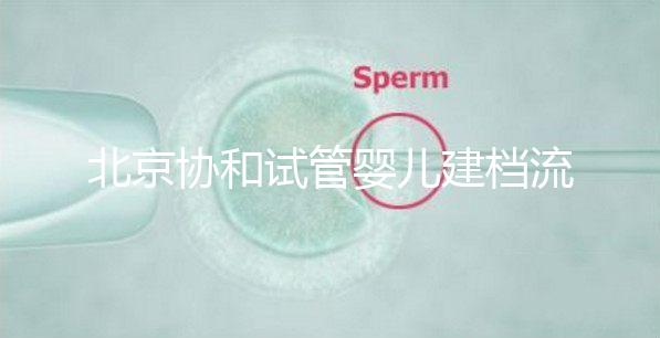 北京協和試管嬰兒建檔流程介紹,到院后掛號必不可少