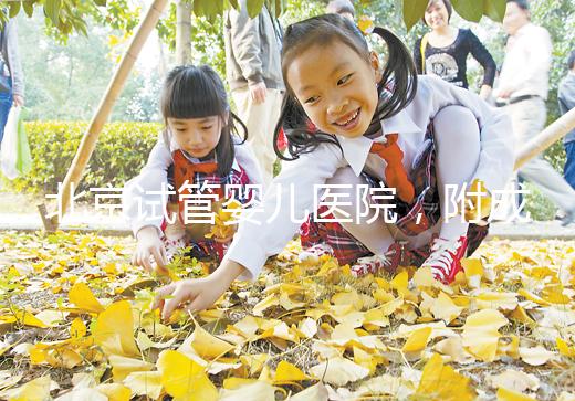 北京試管嬰兒醫院，附成功率、費用