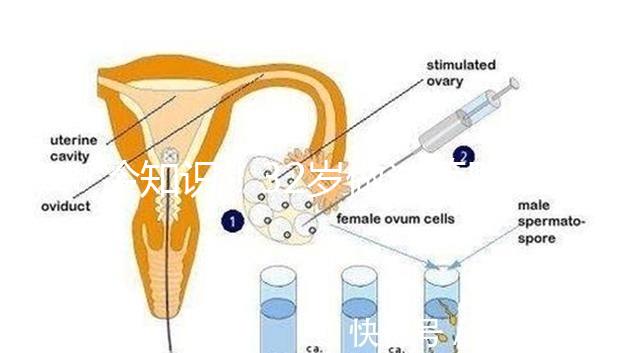 冷知識！32歲做試管嬰兒提升成功率的方法請收藏