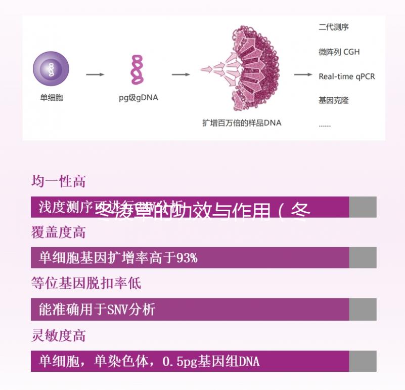 冬凌草的功效與作用(冬凌草的功效與作用的功能與主治)