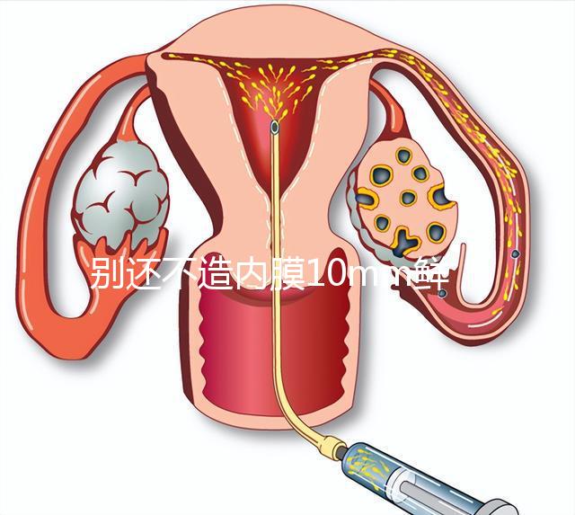 別還不造內膜10mm鮮胚容不容易著床，能否移植看這幾點