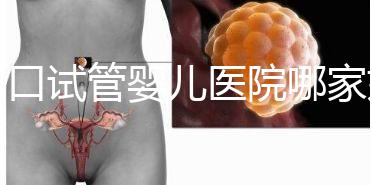 周口試管嬰兒醫(yī)院哪家好，2024年助孕成功率及費(fèi)用公布