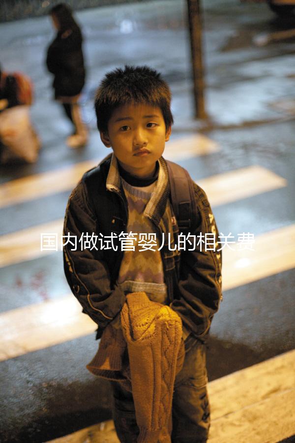 國(guó)內(nèi)做試管嬰兒的相關(guān)費(fèi)用、條件、指征