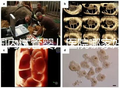 國內(nèi)試管嬰兒醫(yī)院哪家好?慈銘博鰲深受患者信賴