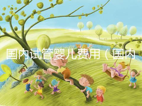 國內(nèi)試管嬰兒費用(國內(nèi)試管嬰兒費用多少)