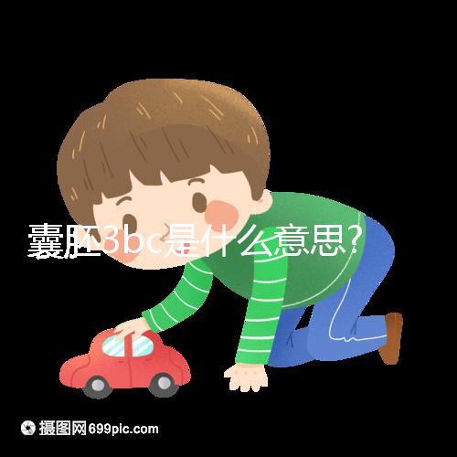 囊胚3bc是什么意思?認識移植成功率和質量好壞看這里