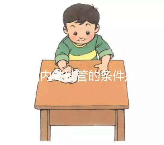 在國內做試管的條件是什么,有什么要求?