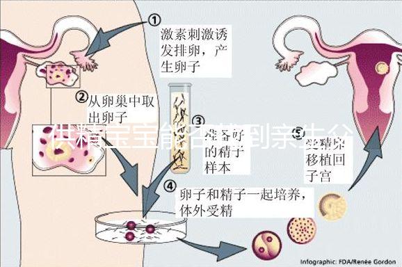 供精寶寶能否找到親生父親看這，就算尋到也沒有撫養義務