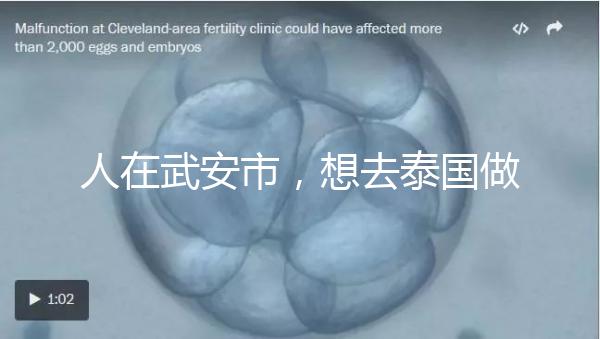 人在武安市，想去泰國做試管嬰兒生男孩要花多少錢？