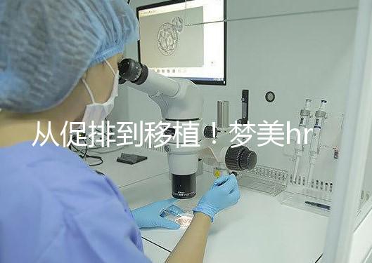 從促排到移植！夢(mèng)美hrc試管嬰兒流程共7步