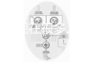 為什么現在很多人選擇用第三代試管嬰兒技術做試管嬰兒？