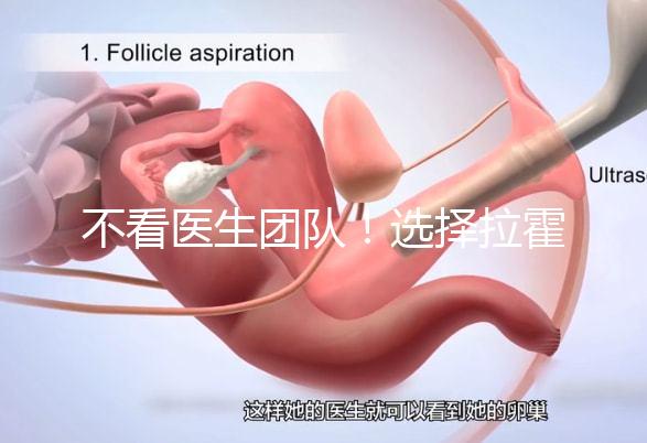 不看醫(yī)生團(tuán)隊(duì)！選擇拉霍亞試管嬰兒中心的優(yōu)勢(shì)還有這些