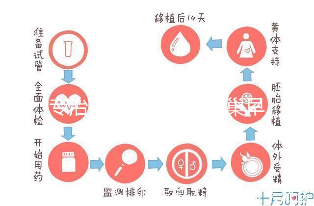 專治停經(jīng)、絕經(jīng)、卵巢早衰？利維愛的作用與適應(yīng)癥分析