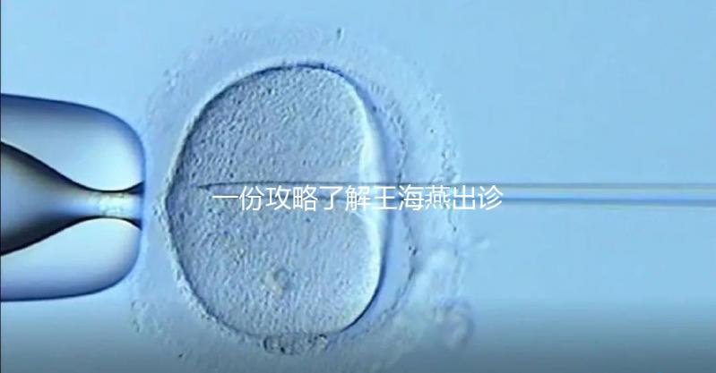 一份攻略了解王海燕出診表，讓你在北醫(yī)三院掛號更簡單