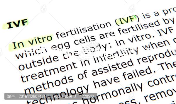 一年中做試管的最佳時間(一年中做試管的最佳時間,季節(jié)的選擇是首要規(guī)則)