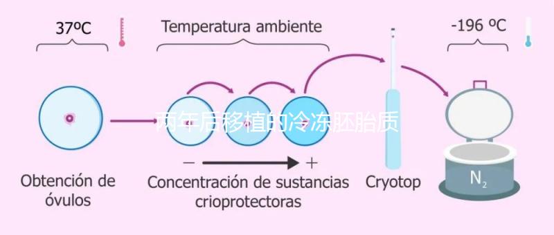 兩年后移植的冷凍胚胎質(zhì)量差會怎么樣？有效的解決方案