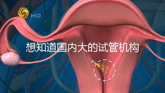 想知道國(guó)內(nèi)大的試管機(jī)構(gòu)，可以查到的那種？