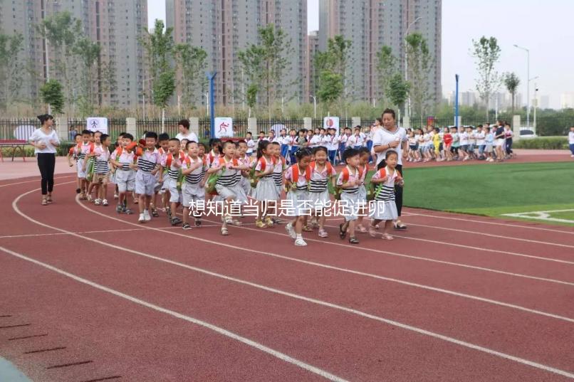 想知道當(dāng)歸是否能促進(jìn)卵泡發(fā)育，加入棗也能補(bǔ)充內(nèi)膜