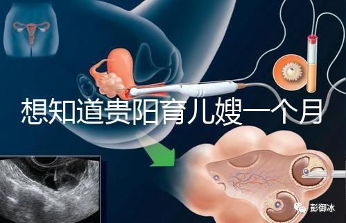 想知道貴陽育兒嫂一個月戳多少錢，云巖2萬夠不夠