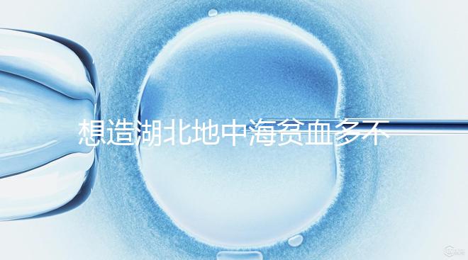 想造湖北地中海貧血多不多戳,武漢發病率高不高看這篇