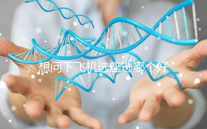 想問下飛機選座選哪個好?