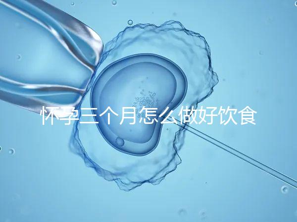 懷孕三個月怎么做好飲食安排？