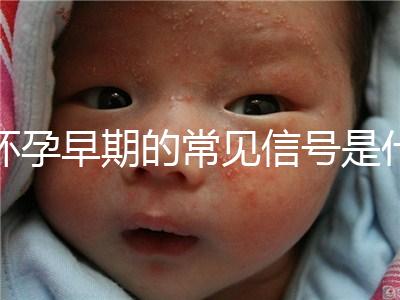 懷孕早期的常見信號是什么?