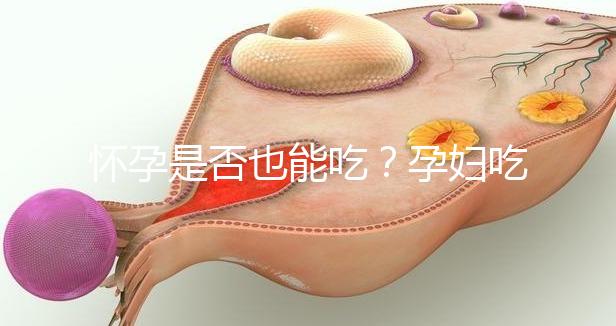 懷孕是否也能吃？孕婦吃海參小米粥的利弊分析