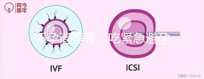 懷孕請等等，吃緊急避孕藥多久能有性生活看專家怎么說